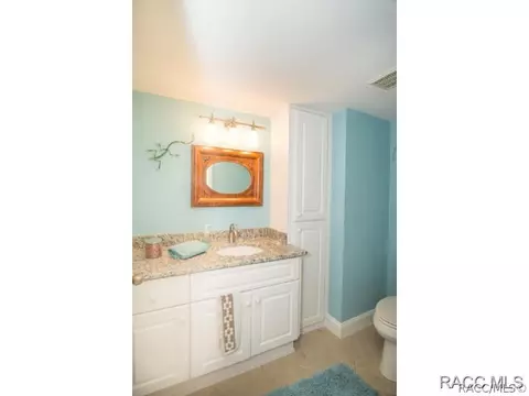 510 E Ireland Ct, Hernando, FL 34442 photo 24