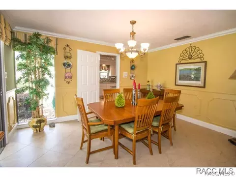 510 E Ireland Ct, Hernando, FL 34442 photo 12