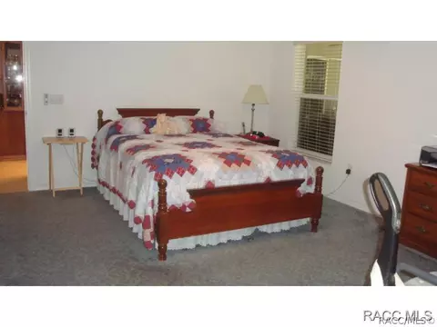 8587 N Messina Loop, Crystal River, FL 34428 photo 23