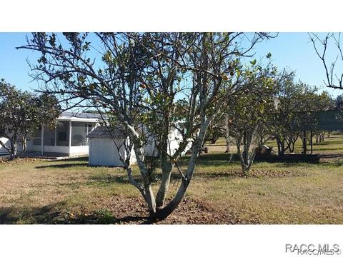 5530 W Fruit Loop, Dunnellon, FL 34433 photo 8