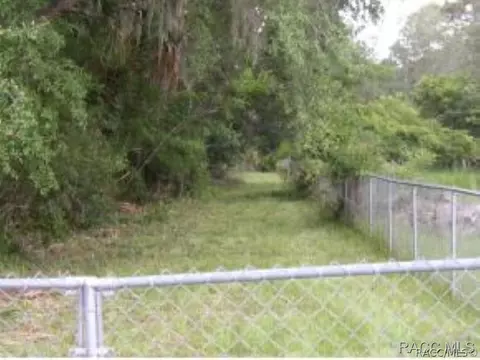 11092 N Andrion Path, Inglis, FL 34449 photo 3
