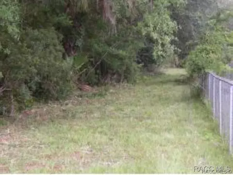 11092 N Andrion Path, Inglis, FL 34449 photo 4