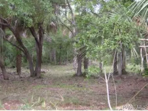 11092 N Andrion Path, Inglis, FL 34449 photo 5