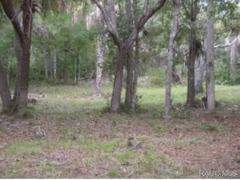 11092 N Andrion Path, Inglis, FL 34449 photo 1