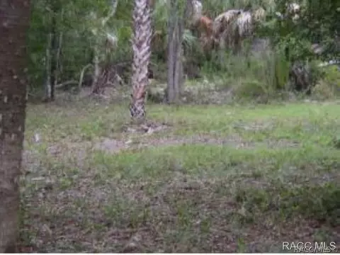 11092 N Andrion Path, Inglis, FL 34449 photo 2