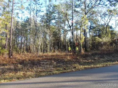 1323 W Union St, Hernando, FL 34442 photo 3