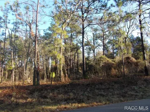 1323 W Union St, Hernando, FL 34442 photo 1