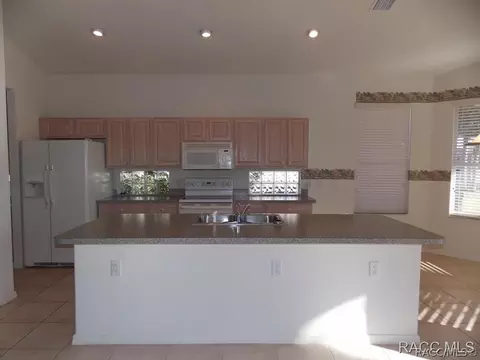 128 W Doerr Path, Hernando, FL 34442 photo 7