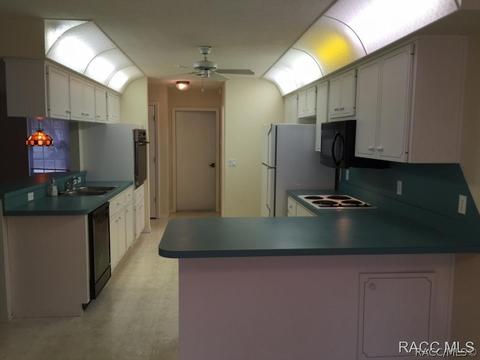 662 E Buckingham Dr, Lecanto, FL 34461 photo 4