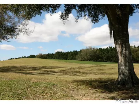 564 Doerr Path, Hernando, FL 34442 photo 23