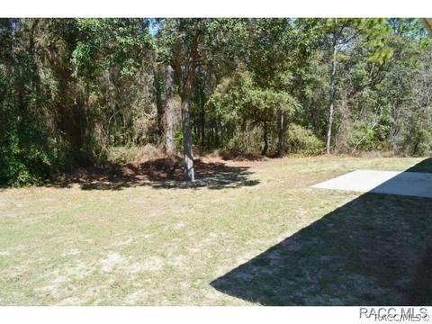 3395 E Dawson Dr, Inverness, FL 34453 photo 13