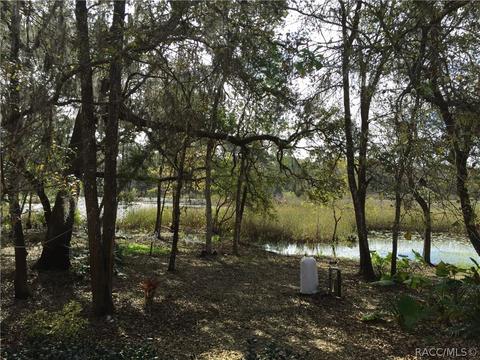 6743 N Hartman Path, Hernando, FL 34442 photo 36
