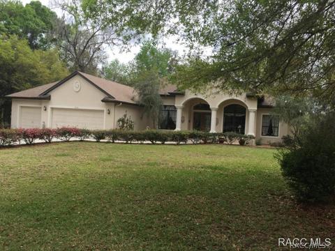 6743 N Hartman Path, Hernando, FL 34442 photo 1