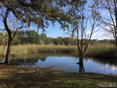 6743 N Hartman Path, Hernando, FL 34442 photo 29