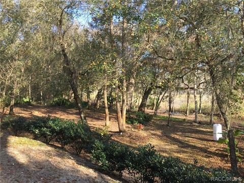 6743 N Hartman Path, Hernando, FL 34442 photo 35