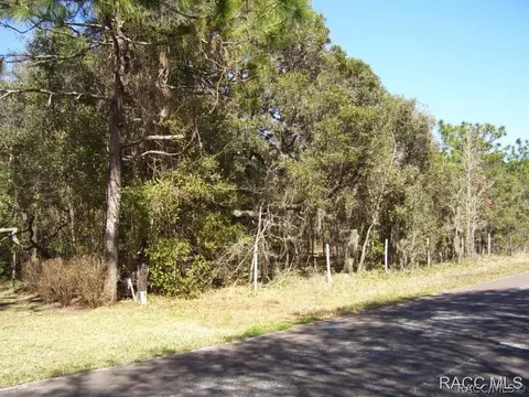 1783 E Ridgefield Dr, Hernando, FL 34442 photo 1