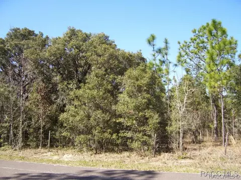1783 E Ridgefield Dr, Hernando, FL 34442 photo 2