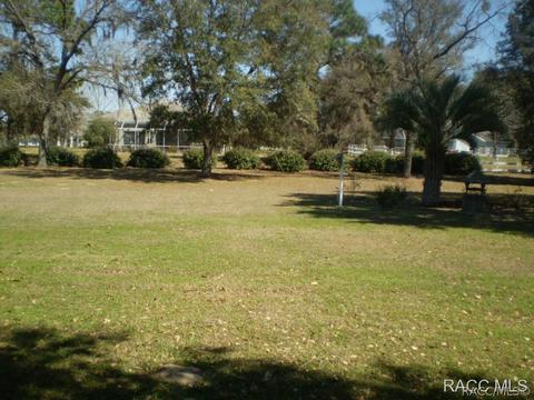 1261 N Man O War Dr, Hernando, FL 34442 photo 23