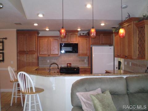1261 N Man O War Dr, Hernando, FL 34442 photo 6