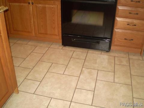 1261 N Man O War Dr, Hernando, FL 34442 photo 30