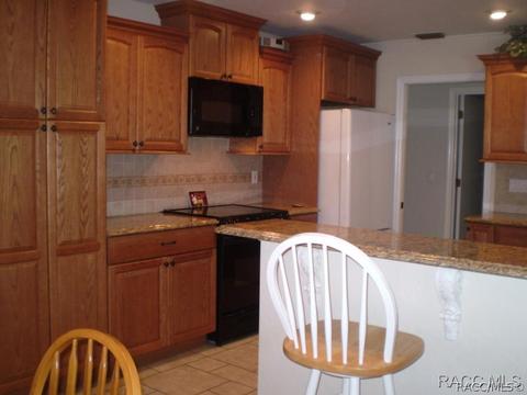 1261 N Man O War Dr, Hernando, FL 34442 photo 7