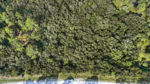 6520 N Nature Trl, Hernando, FL 34442 photo 2