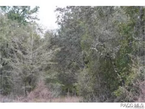 6520 N Nature Trl, Hernando, FL 34442 photo 14