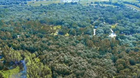6520 N Nature Trl, Hernando, FL 34442 photo 3