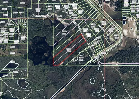 6520 N Nature Trl, Hernando, FL 34442 photo 4