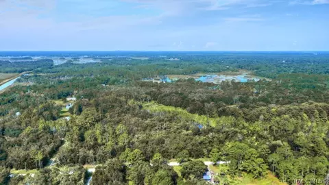 6520 N Nature Trl, Hernando, FL 34442 photo 5