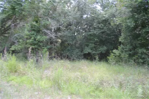 6520 N Nature Trl, Hernando, FL 34442 photo 9