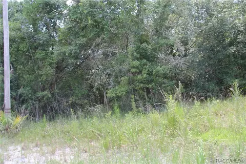 6520 N Nature Trl, Hernando, FL 34442 photo 7