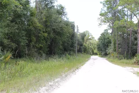 6520 N Nature Trl, Hernando, FL 34442 photo 10
