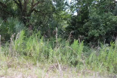 6520 N Nature Trl, Hernando, FL 34442 photo 12