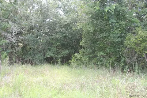 6520 N Nature Trl, Hernando, FL 34442 photo 8