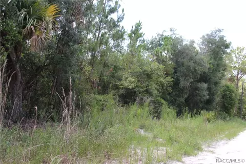 6520 N Nature Trl, Hernando, FL 34442 photo 13
