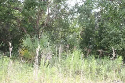 6520 N Nature Trl, Hernando, FL 34442 photo 11