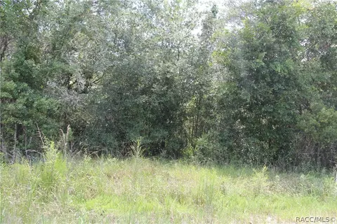 6520 N Nature Trl, Hernando, FL 34442 photo 6