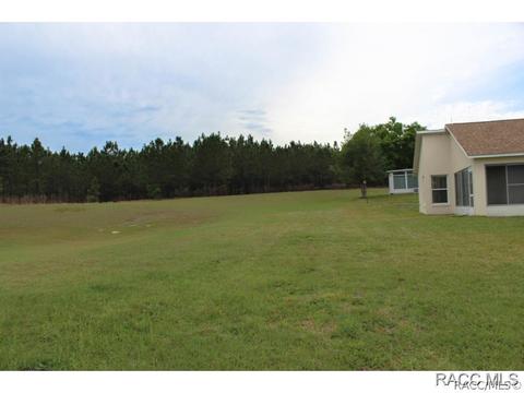 806 W Cockatiel Loop, Hernando, FL 34442 photo 7