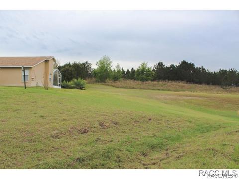 806 W Cockatiel Loop, Hernando, FL 34442 photo 9