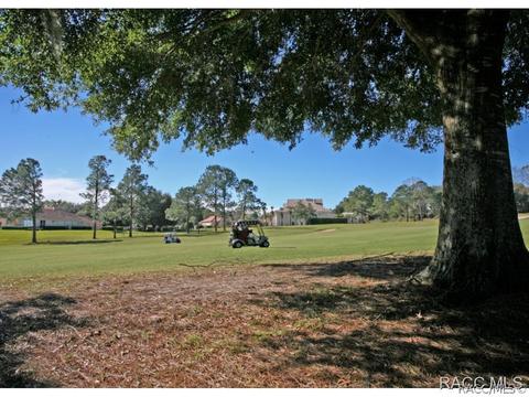 388 W Doerr Path, Hernando, FL 34442 photo 15