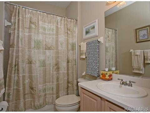 388 W Doerr Path, Hernando, FL 34442 photo 12