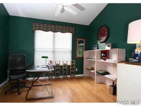 388 W Doerr Path, Hernando, FL 34442 photo 8