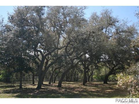 5184 Rolling View Pl, Lecanto, FL 34461 photo 3