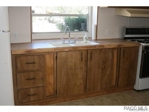 5184 Rolling View Pl, Lecanto, FL 34461 photo 9