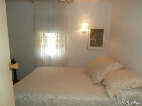 4299 E Lake Park Dr, Hernando, FL 34442 photo 6
