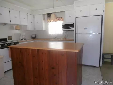 4299 E Lake Park Dr, Hernando, FL 34442 photo 2