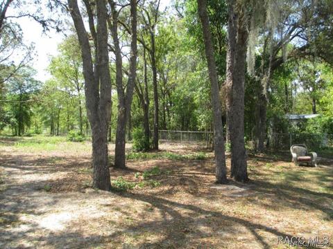 3212 N Eisenhower Ave, Hernando, FL 34442 photo 31