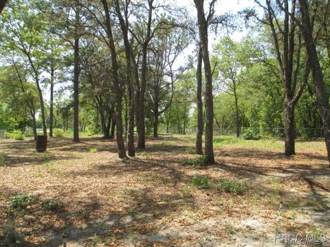 3212 N Eisenhower Ave, Hernando, FL 34442 photo 32
