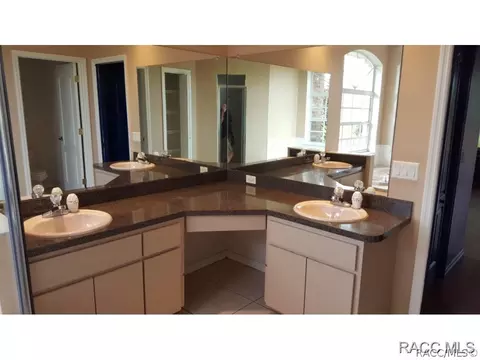 317 E Samuel Ct, Hernando, FL 34442 photo 4